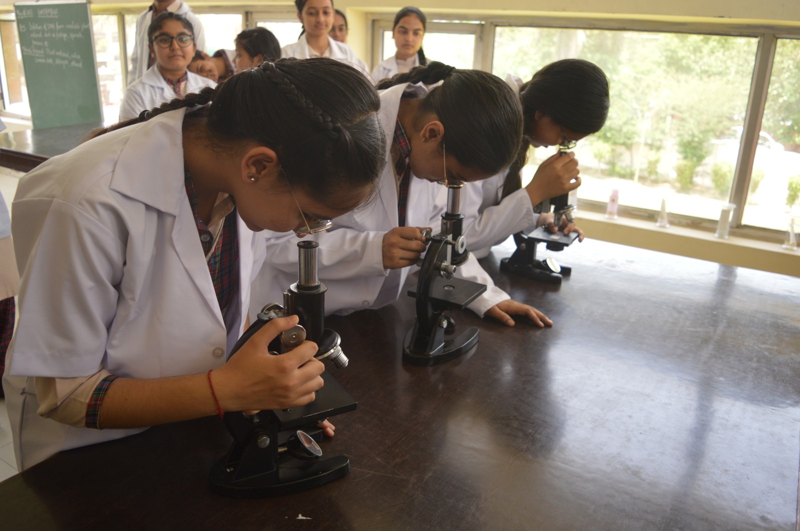 BIO LAB